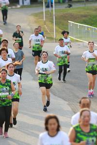 BIB: 
                            <button type="button" onclick="openModal(3540342)" class="btn btn-primary btn-sm float-right btn-popup" data-toggle="modal" data-target=".modal-high-quality">
                        <i class="fas fa-shopping-cart"></i> Add to Cart
                    </button>
                                            <button type="button" onclick="isThisMe(3540342, true)" class="btn btn-success btn-sm float-right btn-popup btn-isme hidden" data-toggle="tooltip" data-placement="bottom" title="นี่คือรูปของคุณใช่ไหม คลิกที่นี่เพื่อเอาเข้าอัลบั้ม">
                        <i class="fas fa-plus"></i> Add to album
                    </button>
                    <button type="button" onclick="isThisMe(3540342, false)" class="btn btn-warning btn-sm float-right btn-popup btn-isnotme hidden">
                        <i class="fas fa-ban"></i> Remove from album
                    </button>